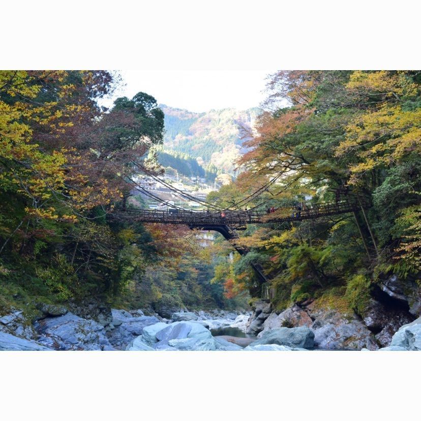 祖谷のかずら橋