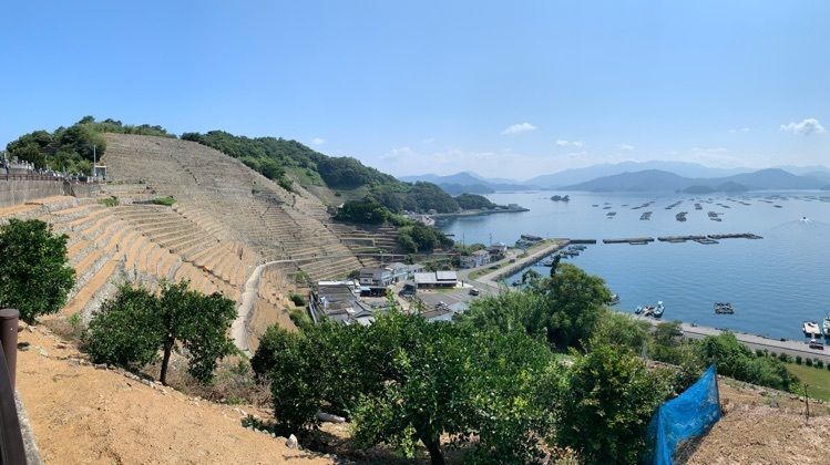 遊子水荷浦の段畑