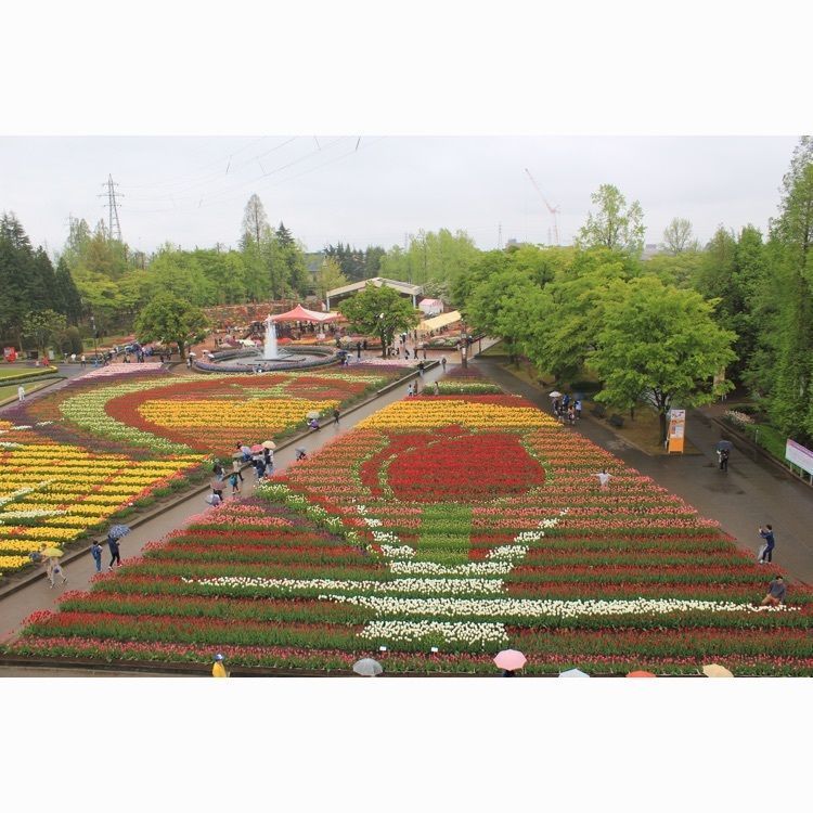砺波チューリップ公園