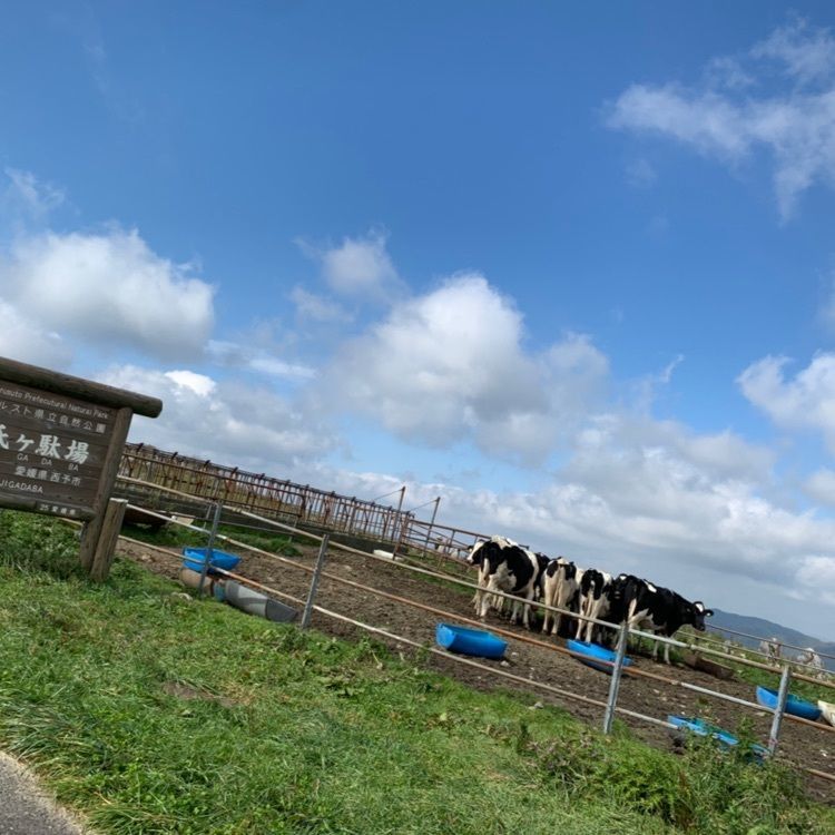 四国カルスト大野ヶ原