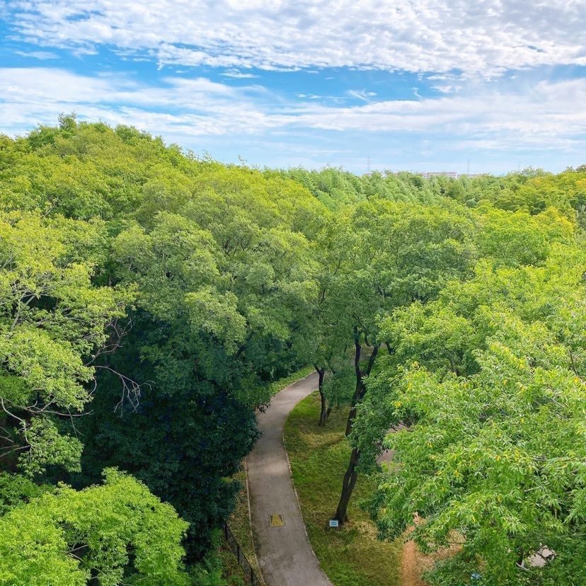 138タワーパーク