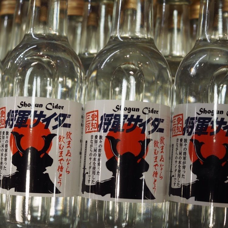 道の駅 デンパーク安城