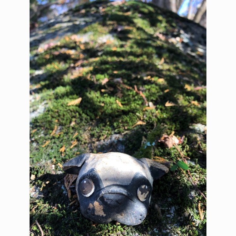 香嵐渓のモミジ