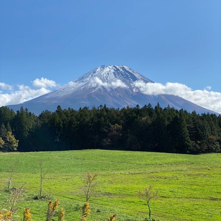 道の駅 朝霧高原