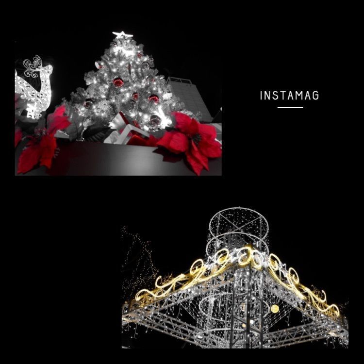 青葉シンボルロード・青葉緑地