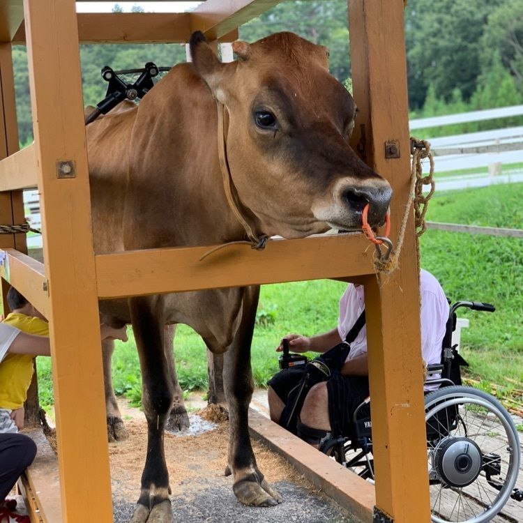 ひるがの高原　牧歌の里