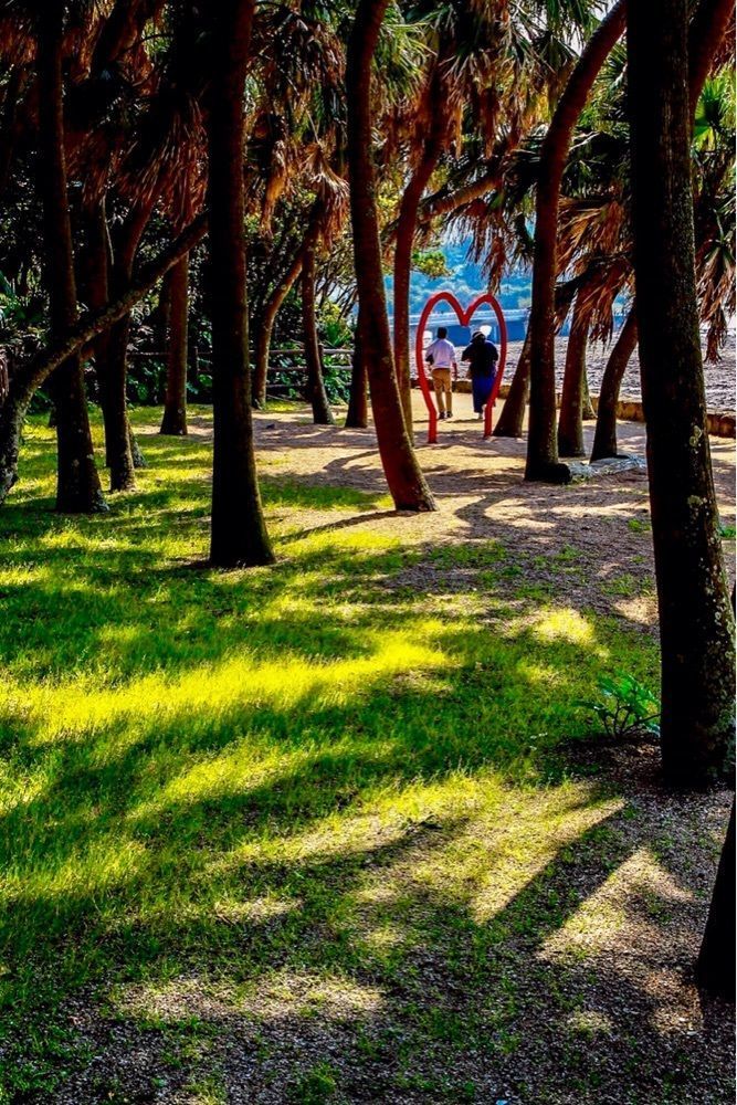 青島（宮崎県宮崎市）