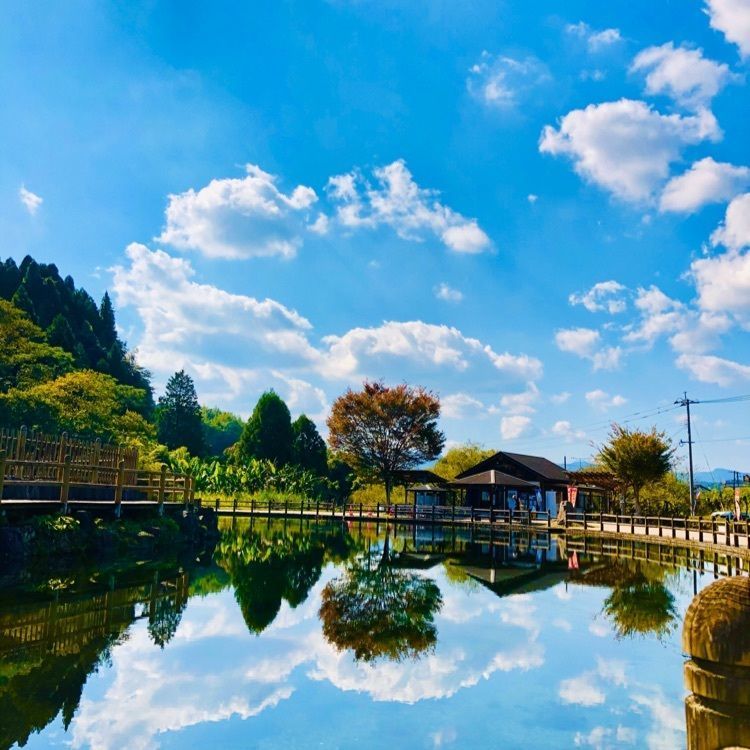 霧島山麓丸池湧水のスポット情報 aumo[アウモ]