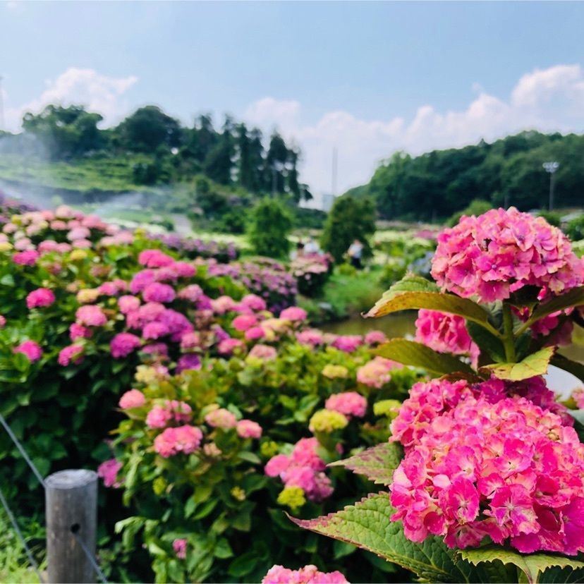 かざはやの里かっぱのふるさと