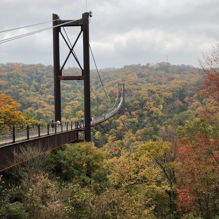 府民の森（くろんど・ほしだ・むろいけ・なるかわ・くさか・ぬかた・みずのみ・ちはや・ほりご園地）
