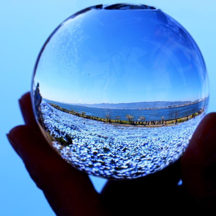 大阪舞洲ゆり園