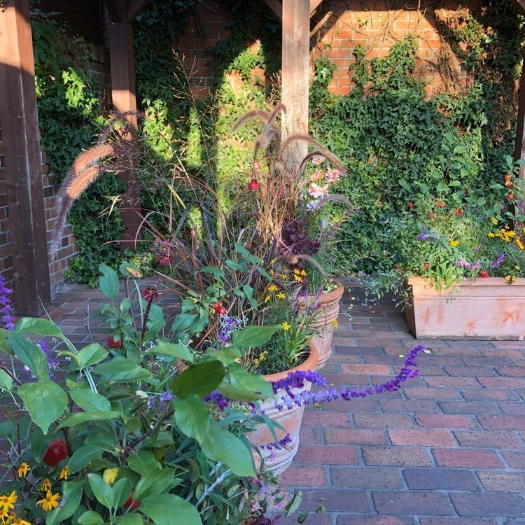 クラブハリエ 近江八幡日牟禮ヴィレッジ（CLUB HARIE）