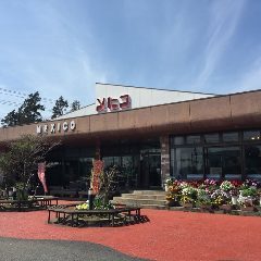 メヒコ 守谷フラミンゴ館