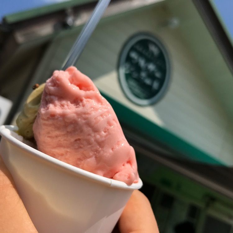マルガージェラート 能登本店(MALGA GELATO)