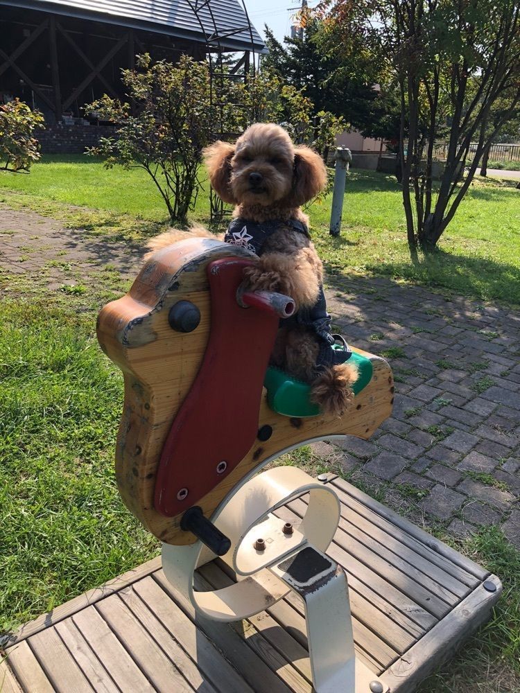 道の駅 ハウスヤルビ奈井江