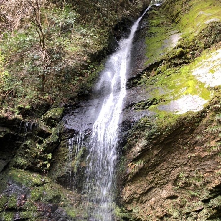 滝美食堂(たきみしょくどう)