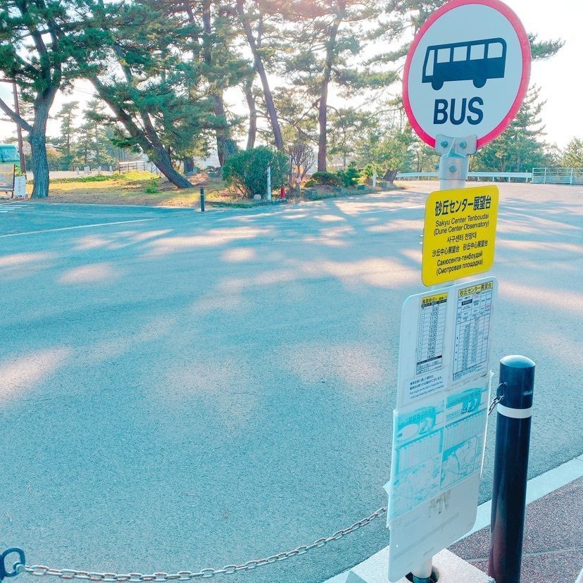 砂丘センター 見晴らしの丘