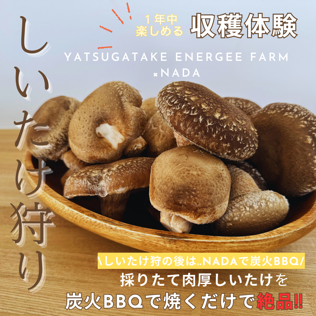 最新情報画像