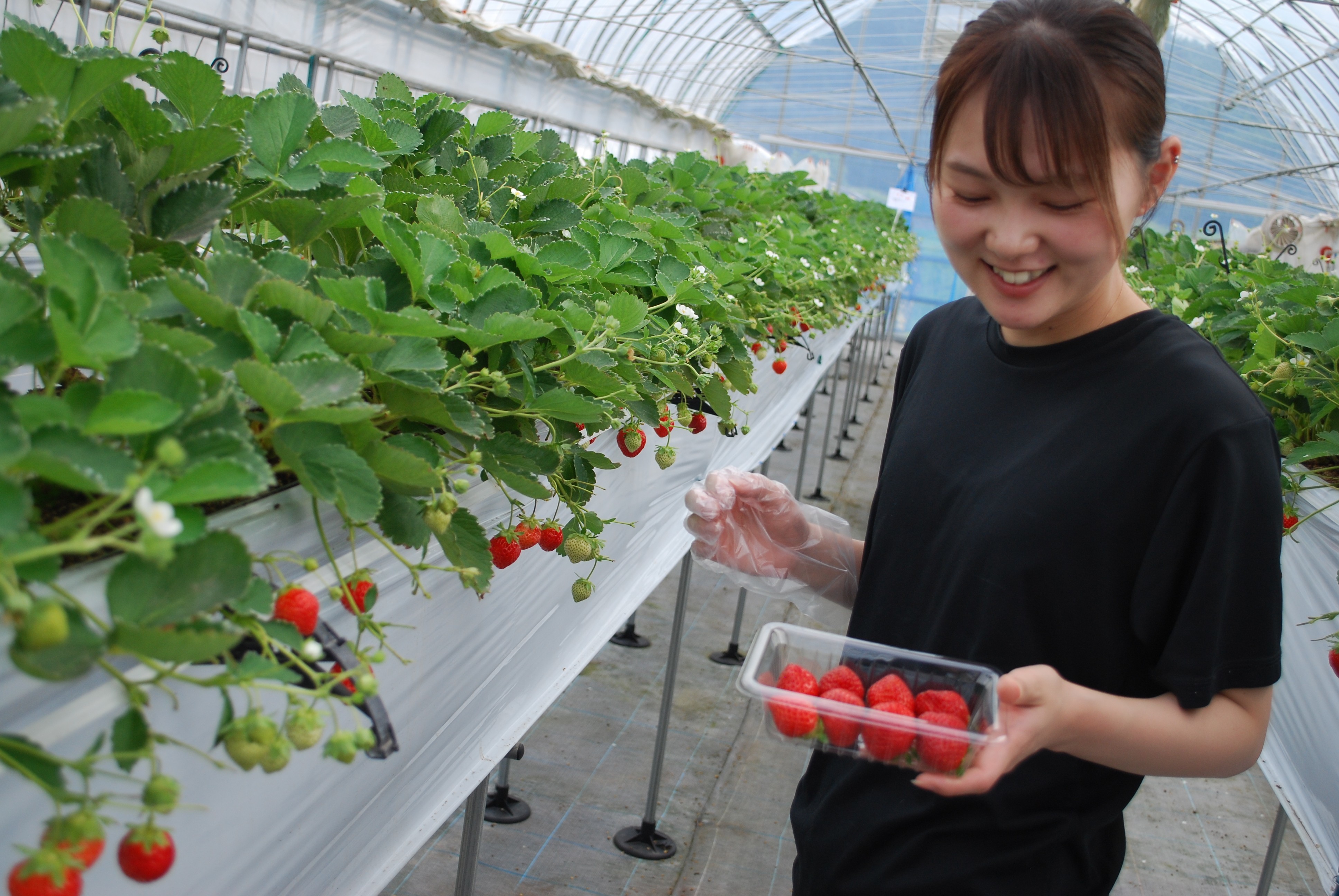 最新情報画像
