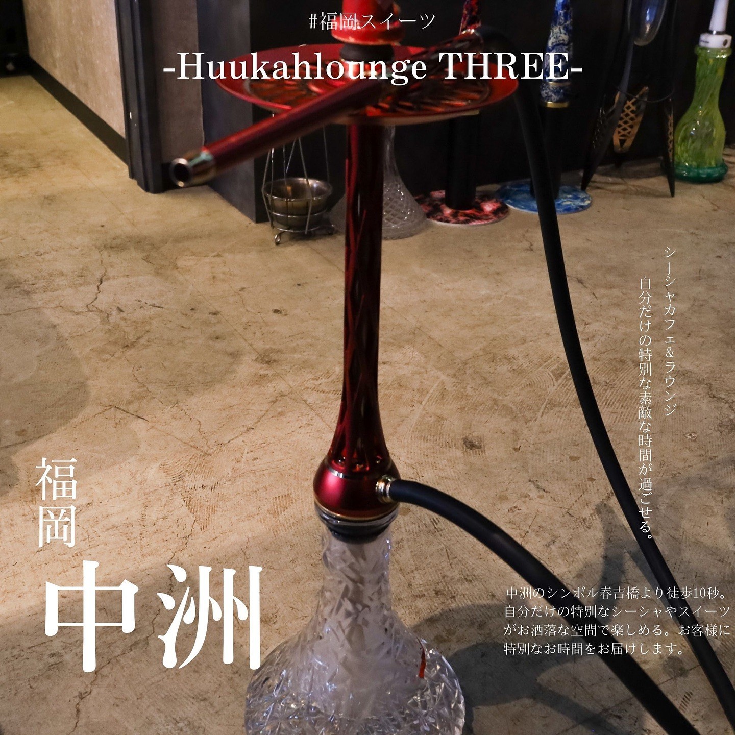最新情報画像