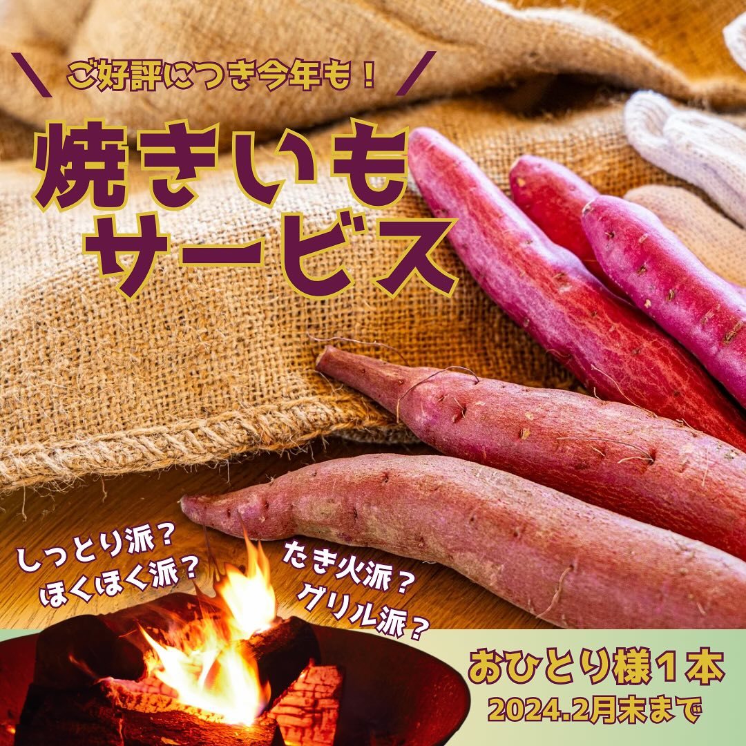 最新情報画像