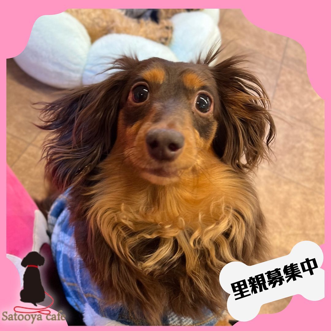 最新情報画像