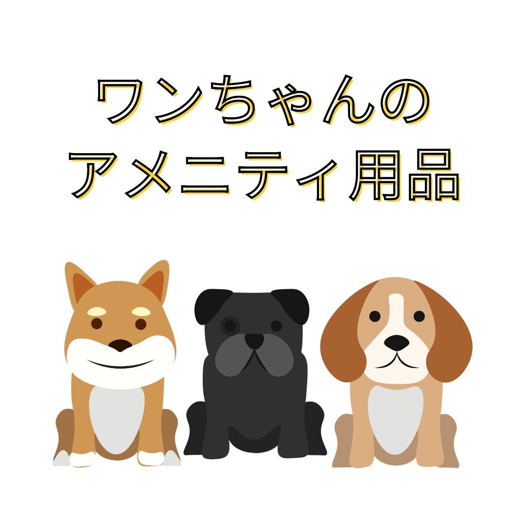 最新情報画像