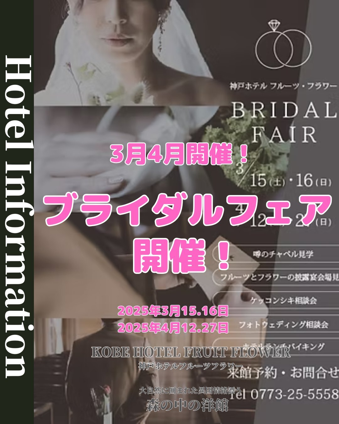 最新情報画像