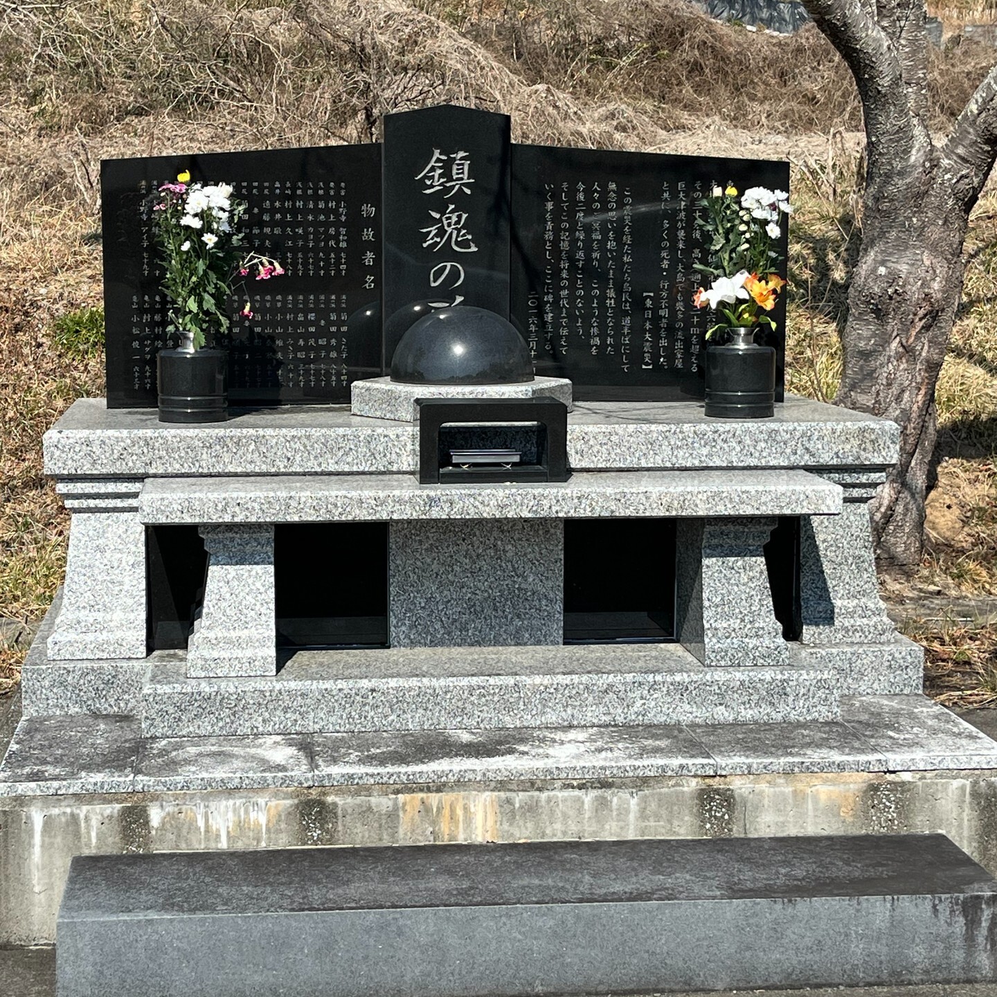 最新情報画像