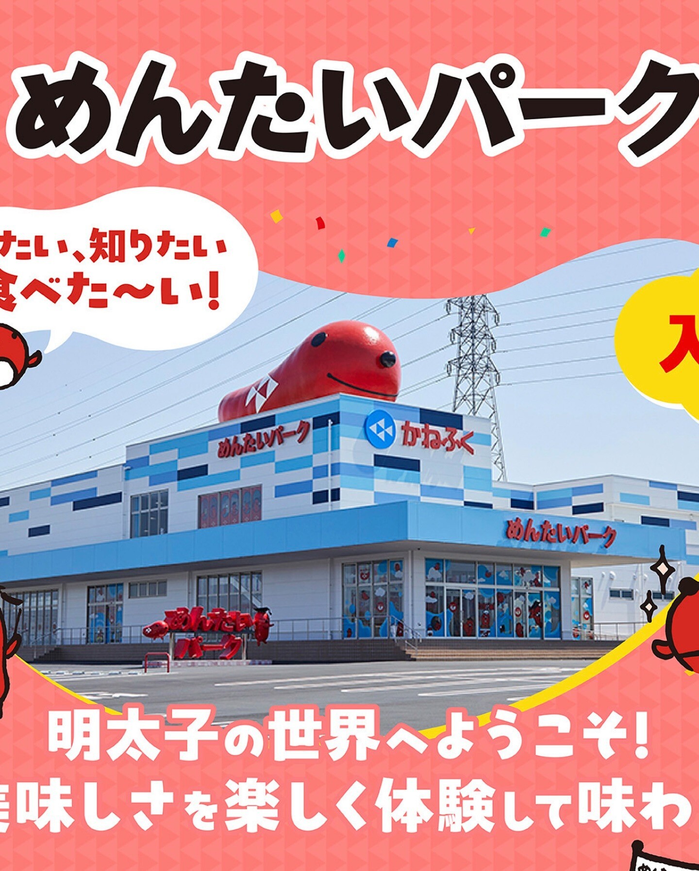 最新情報画像