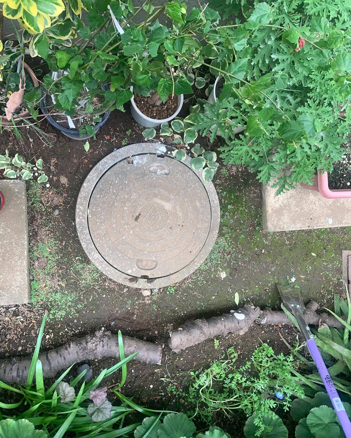 最新情報画像