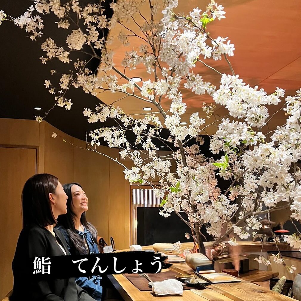 最新情報画像