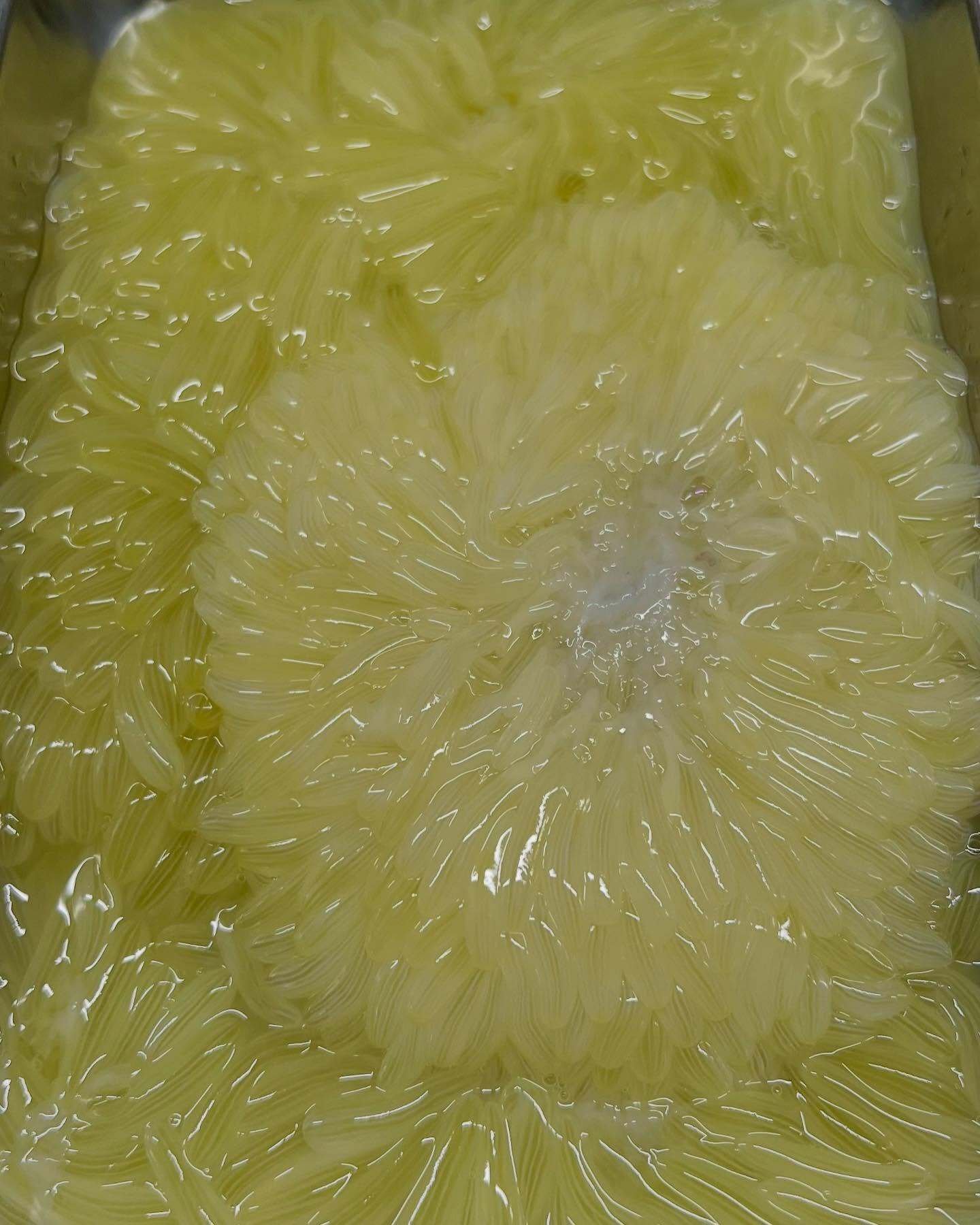 最新情報画像