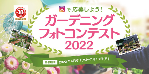 コメリ パワー帯広南店のチラシ お得なお買い物情報 Aumo アウモ