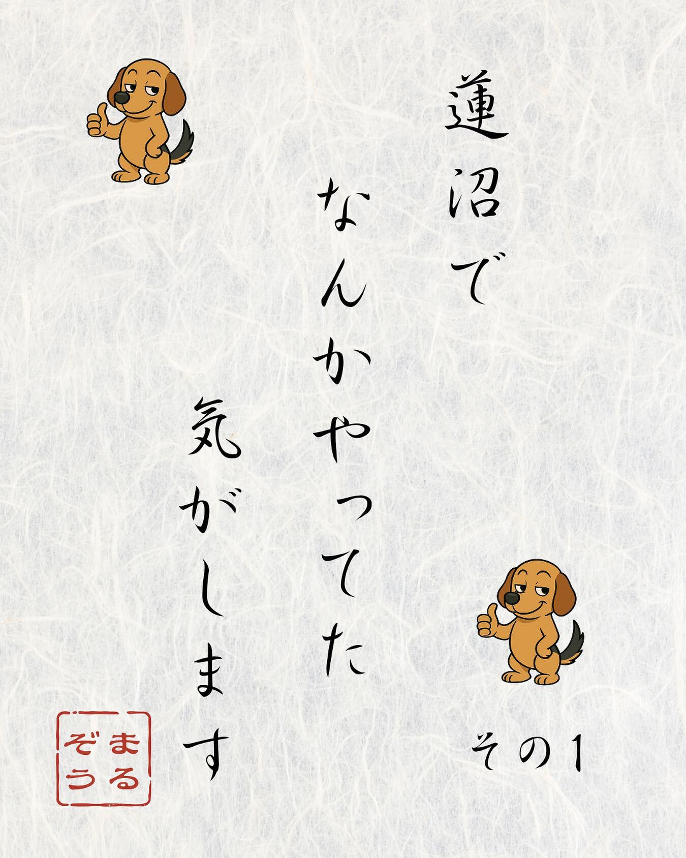 最新情報画像