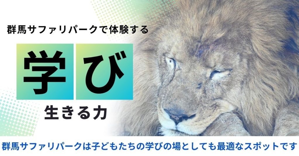 最新情報画像