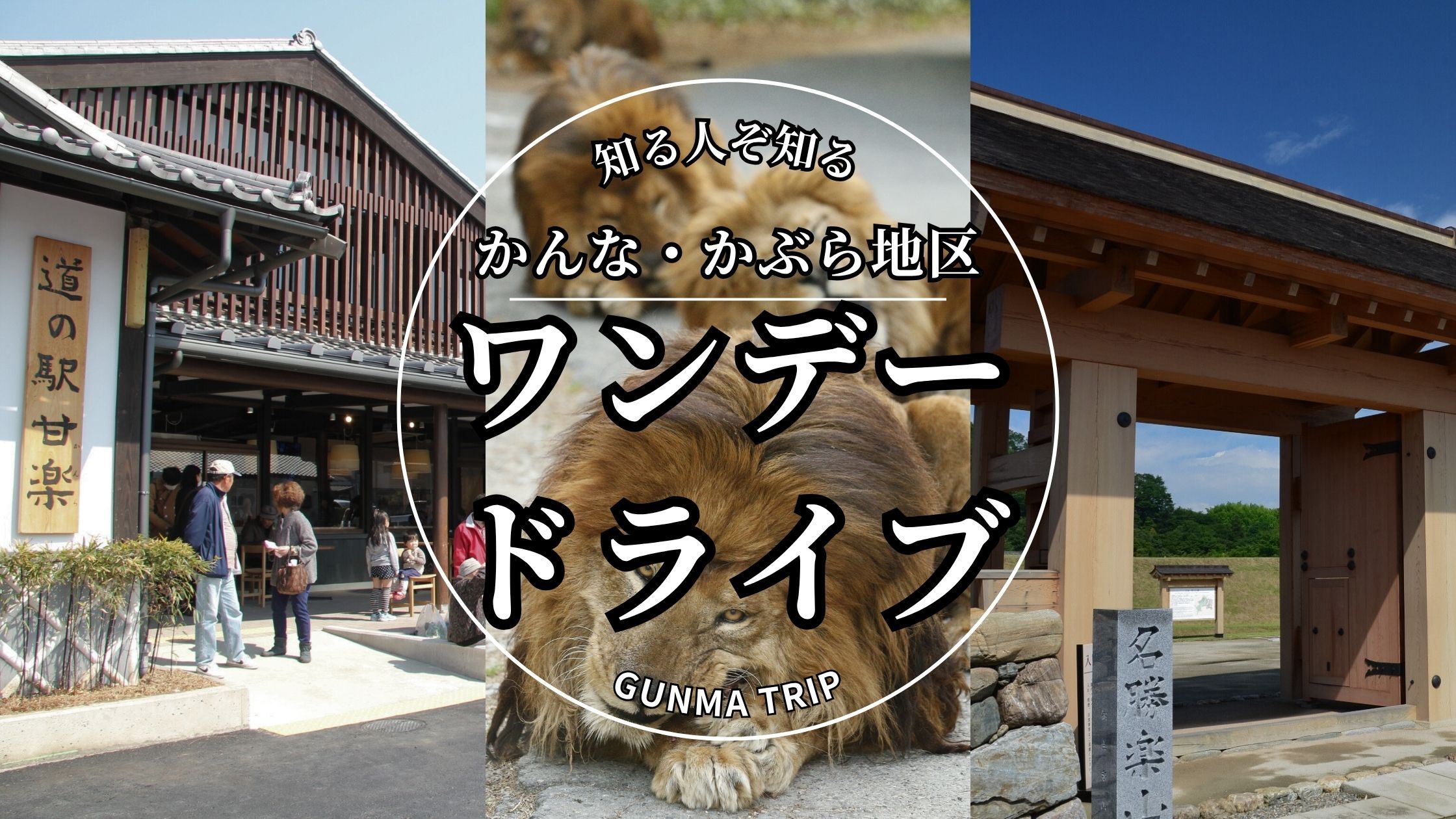 最新情報画像