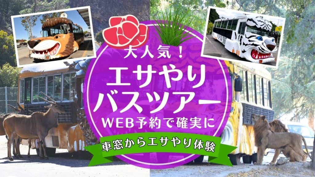 最新情報画像