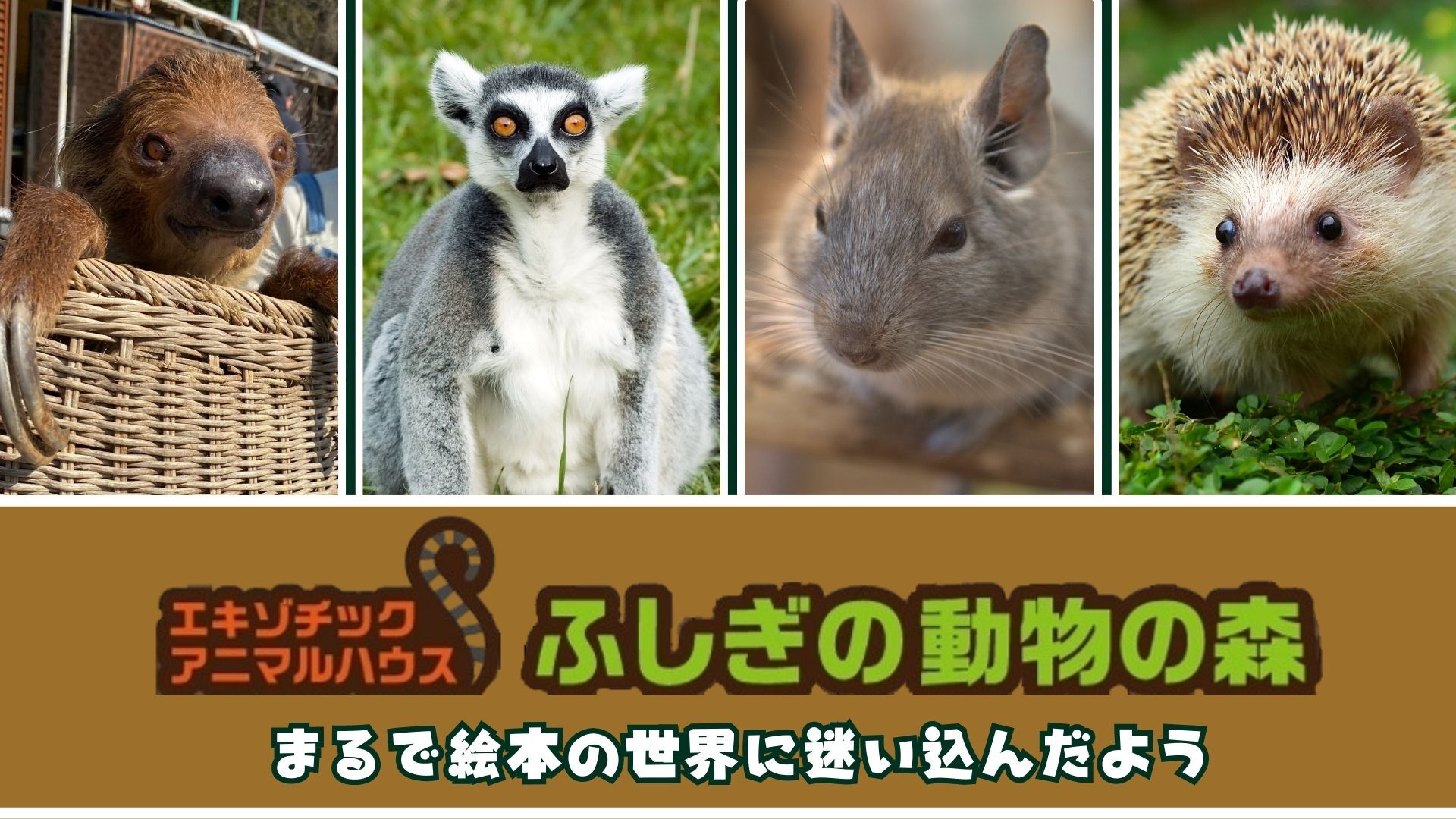 最新情報画像