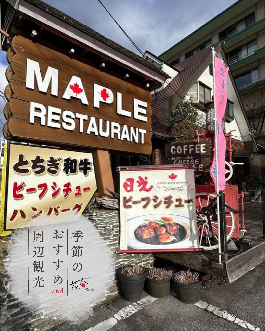 最新情報画像