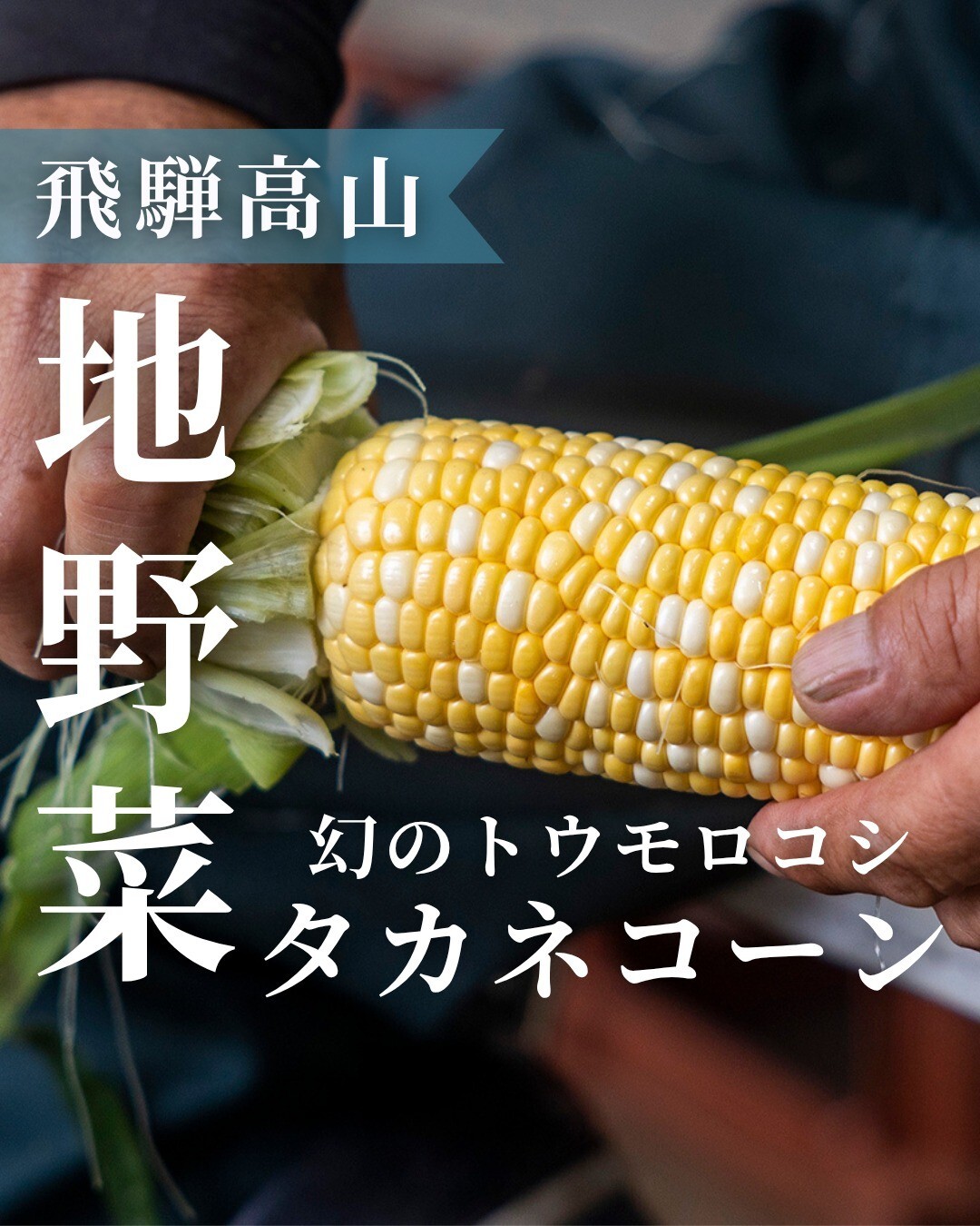 最新情報画像