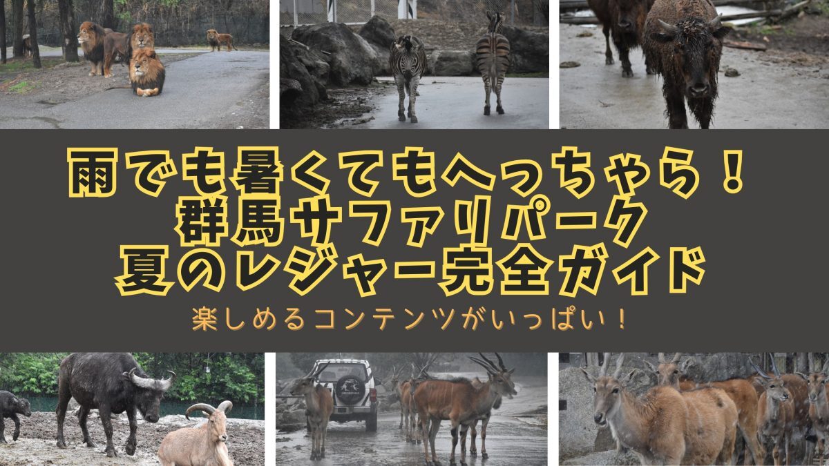 最新情報画像