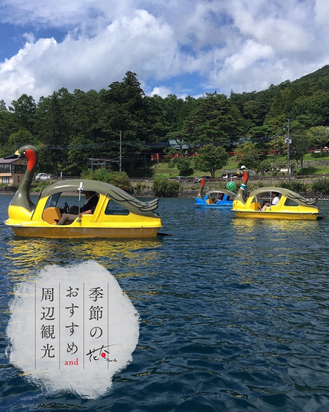 最新情報画像