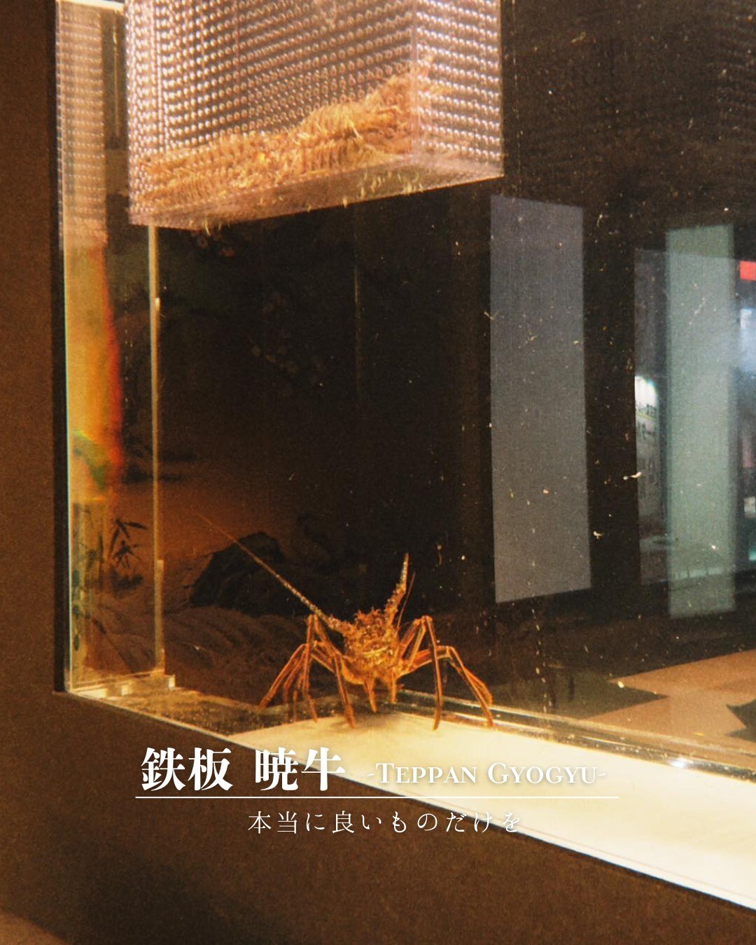 最新情報画像