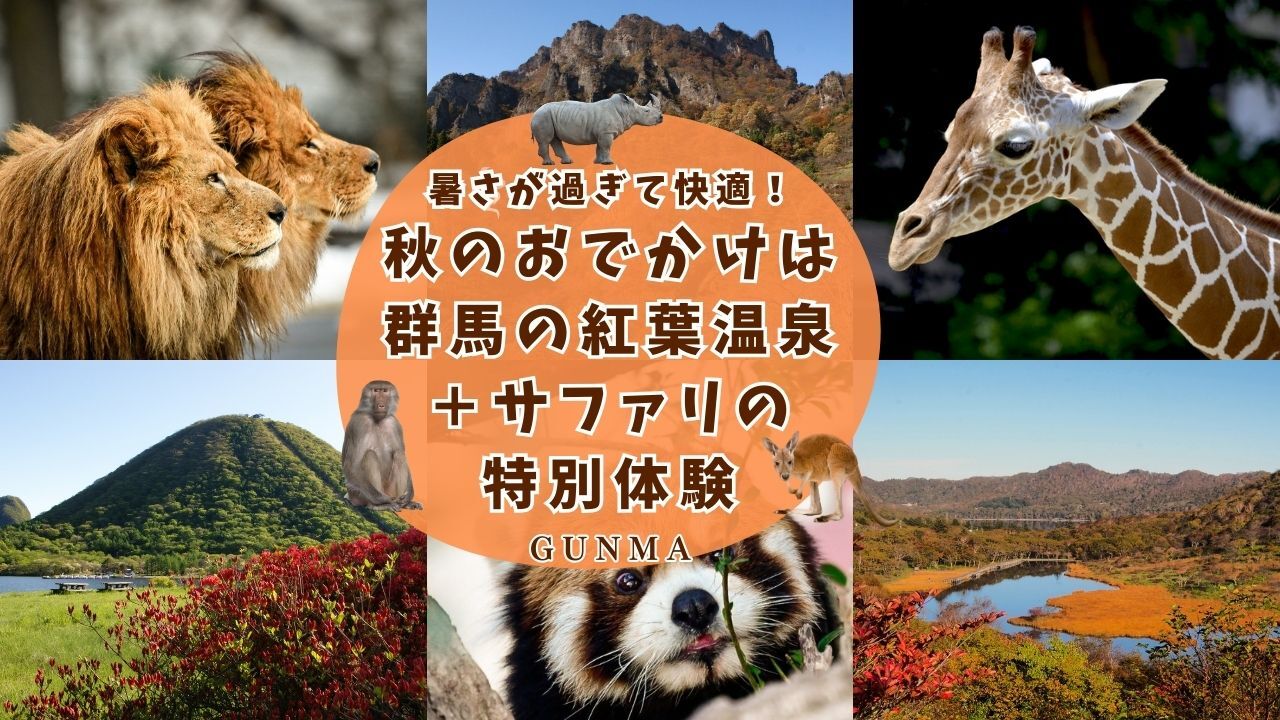最新情報画像