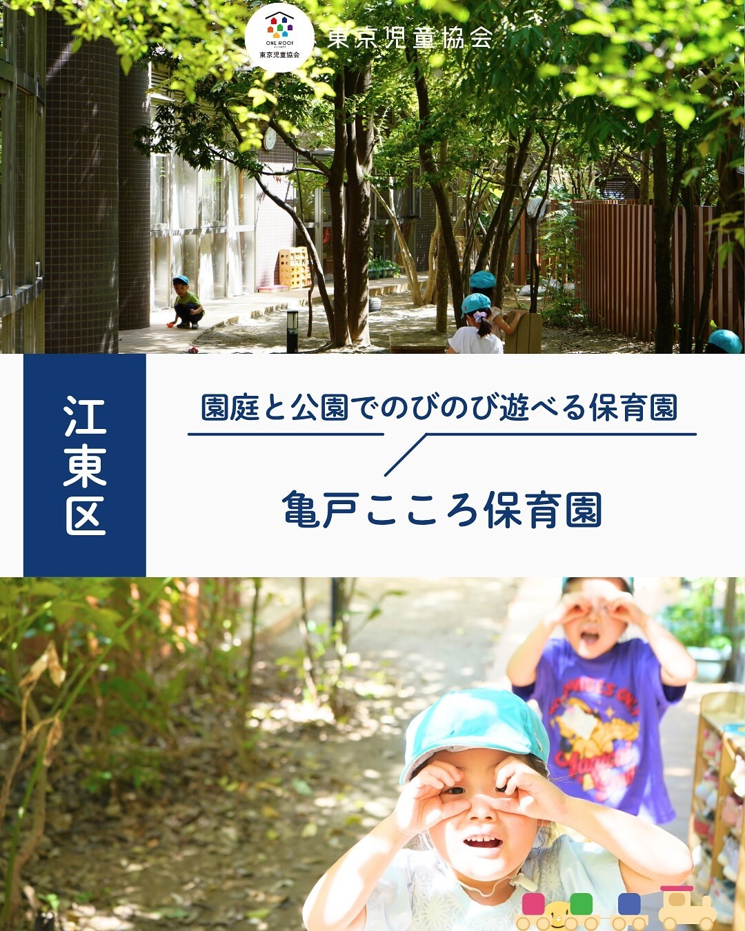 最新情報画像