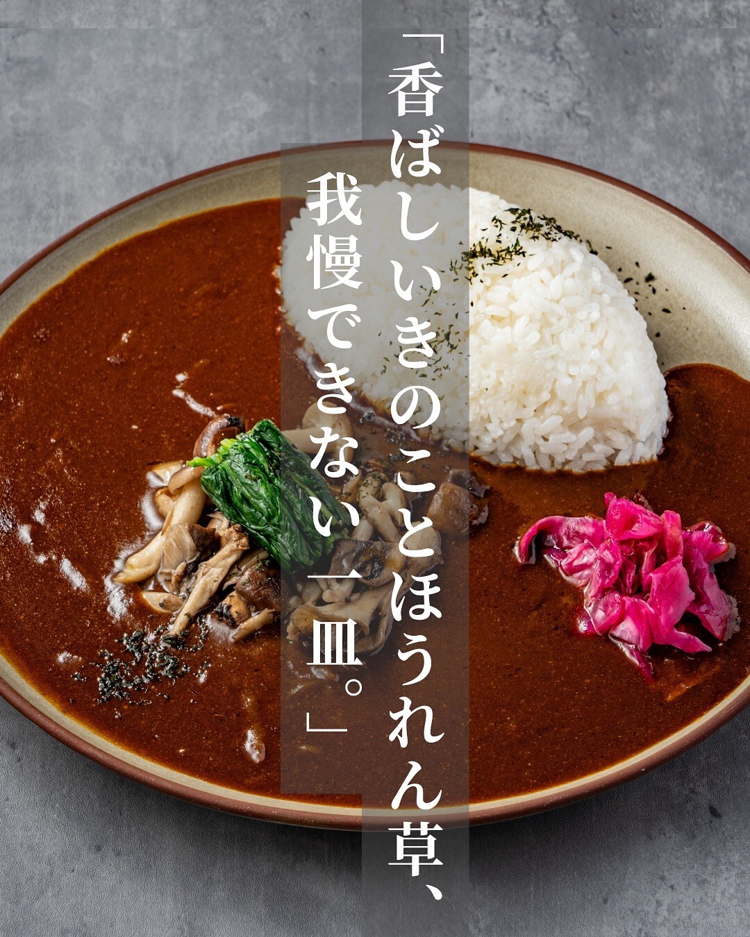 最新情報画像