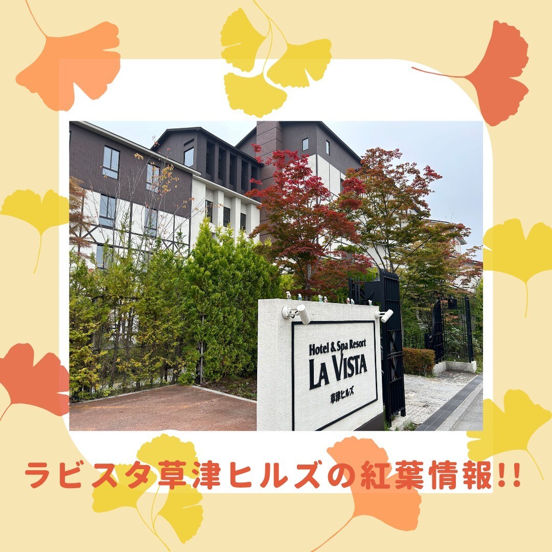 最新情報画像