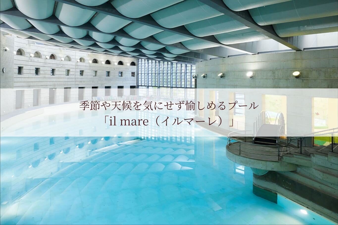 最新情報画像
