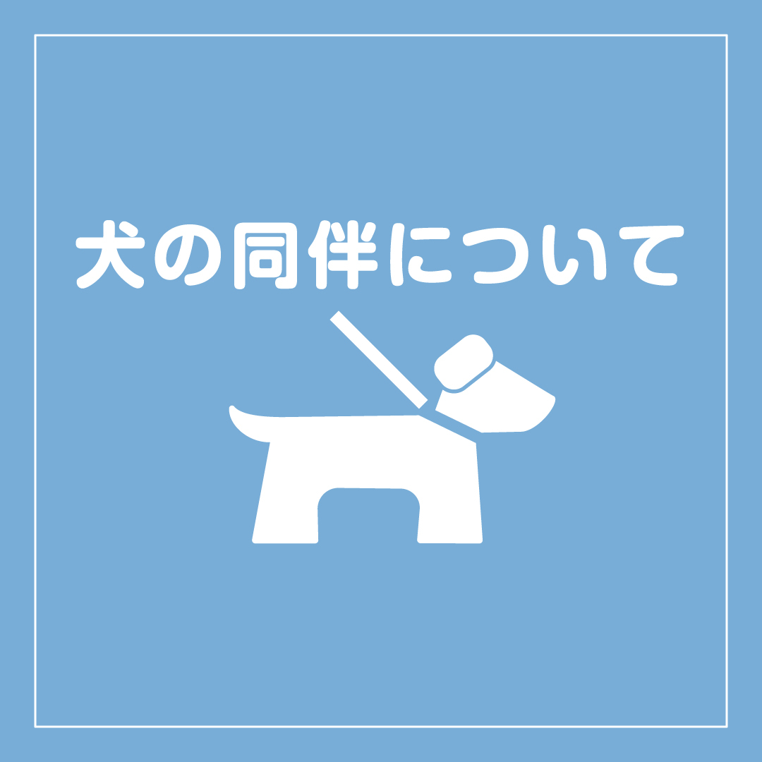 最新情報画像